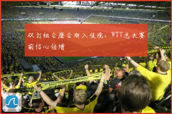 双打组合磨合渐入佳境，WTT总决赛前信心倍增