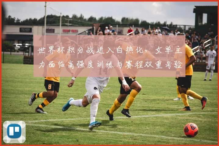 世界杯积分战进入白热化，女单主力面临高强度训练与赛程双重考验