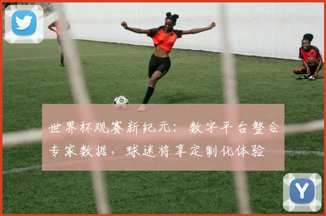 世界杯观赛新纪元：数字平台整合专家数据，球迷将享定制化体验
